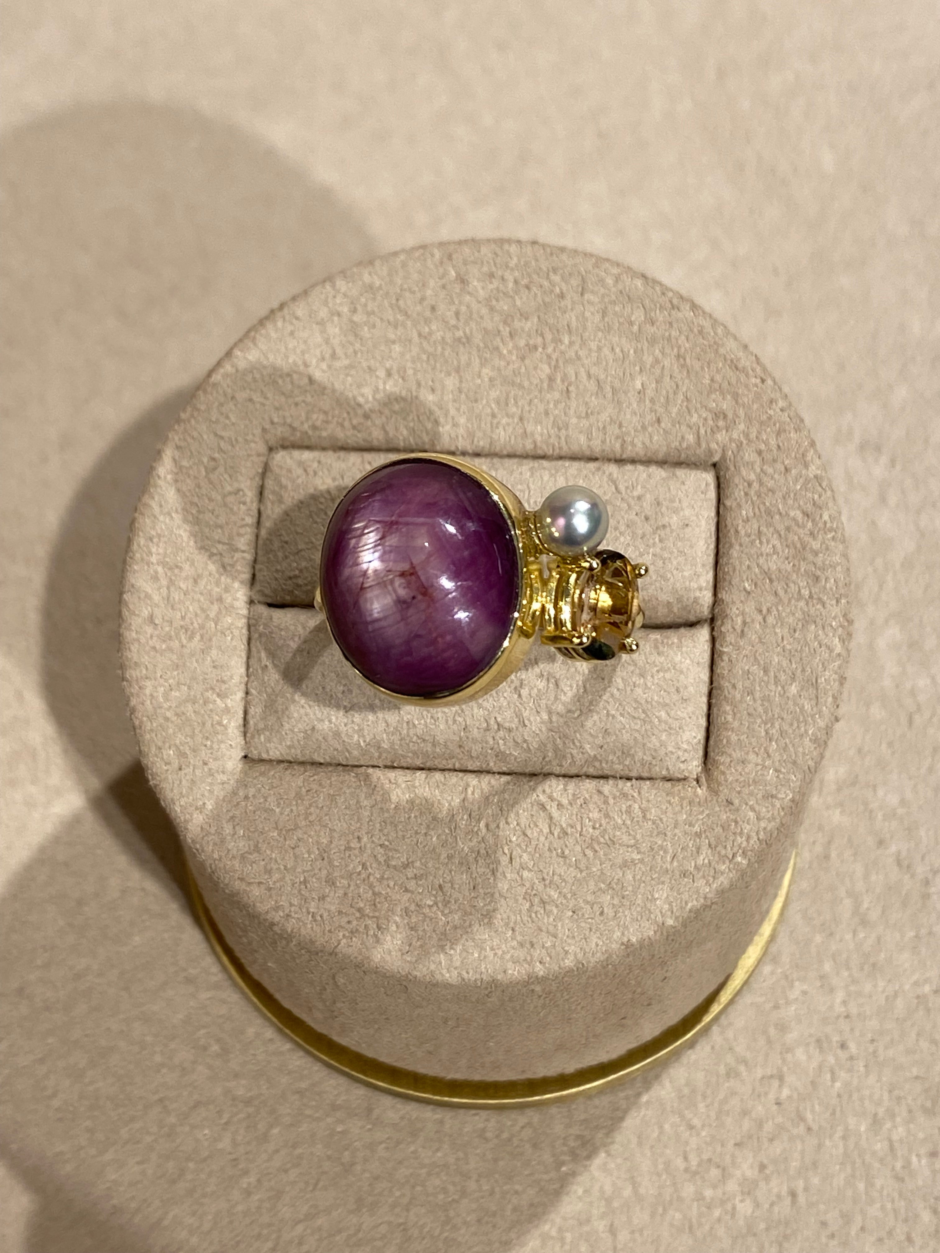 Ster Robijn Circus Ring