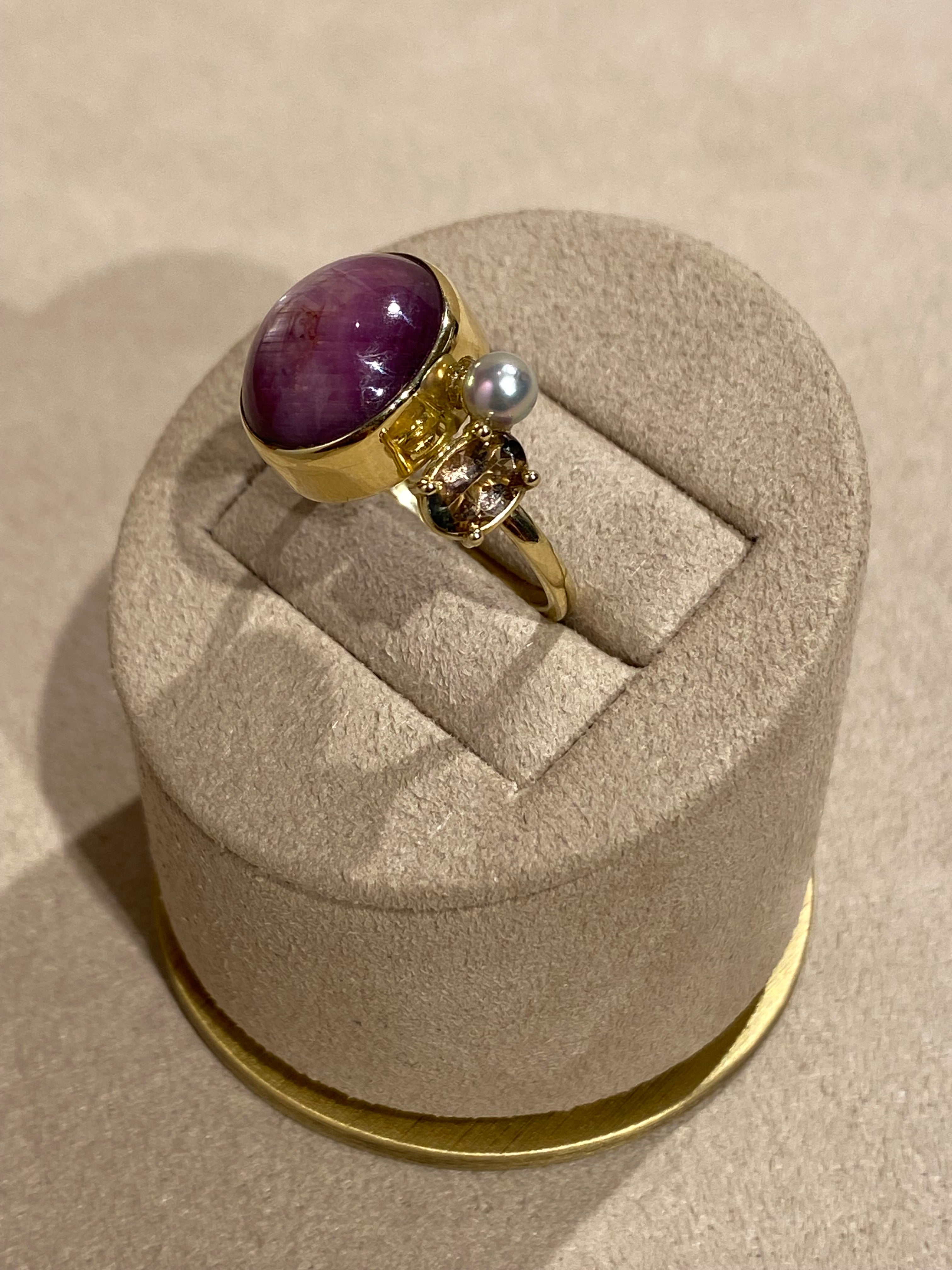 Ster Robijn Circus Ring