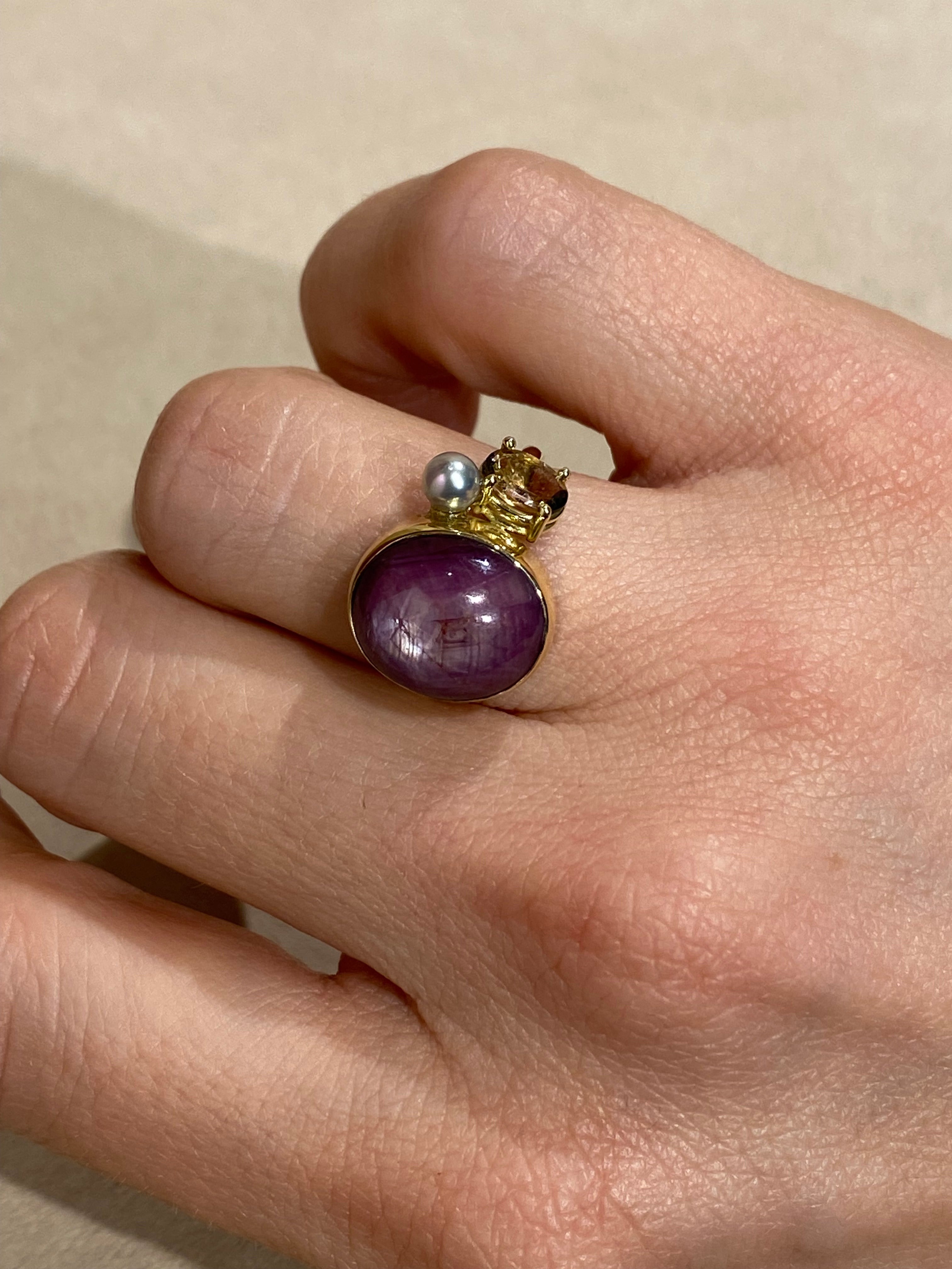 Ster Robijn Circus Ring