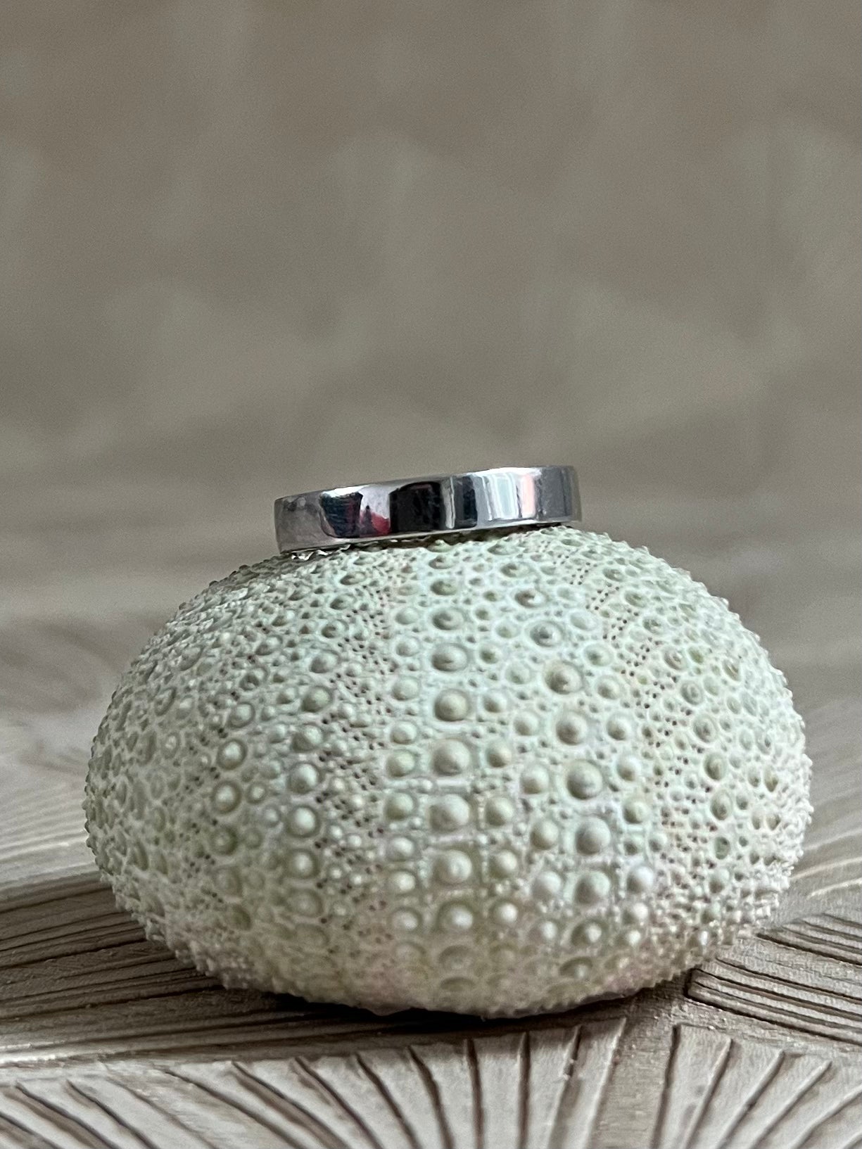 Witgouden Vlakke Ring