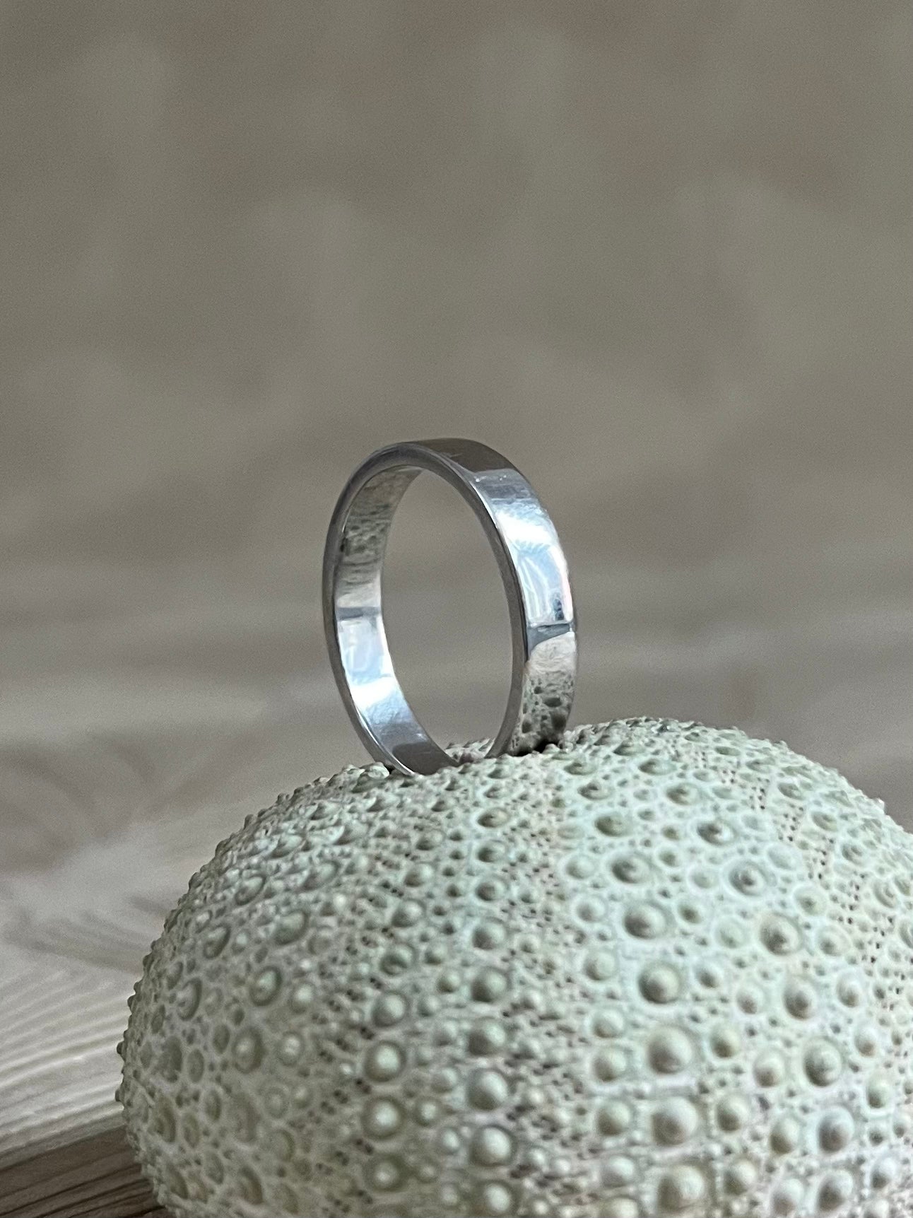 Witgouden Vlakke Ring