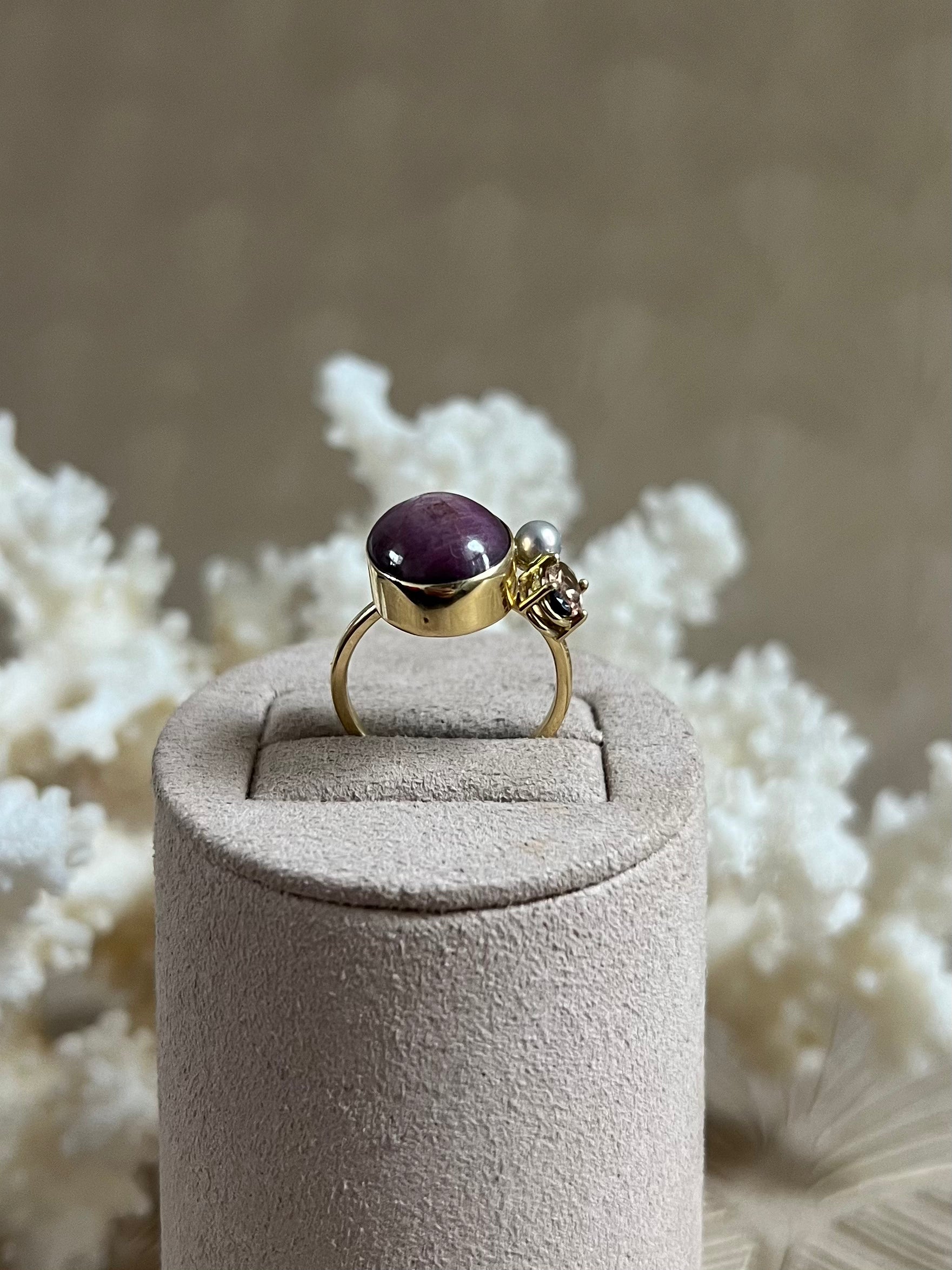 Ster Robijn Circus Ring