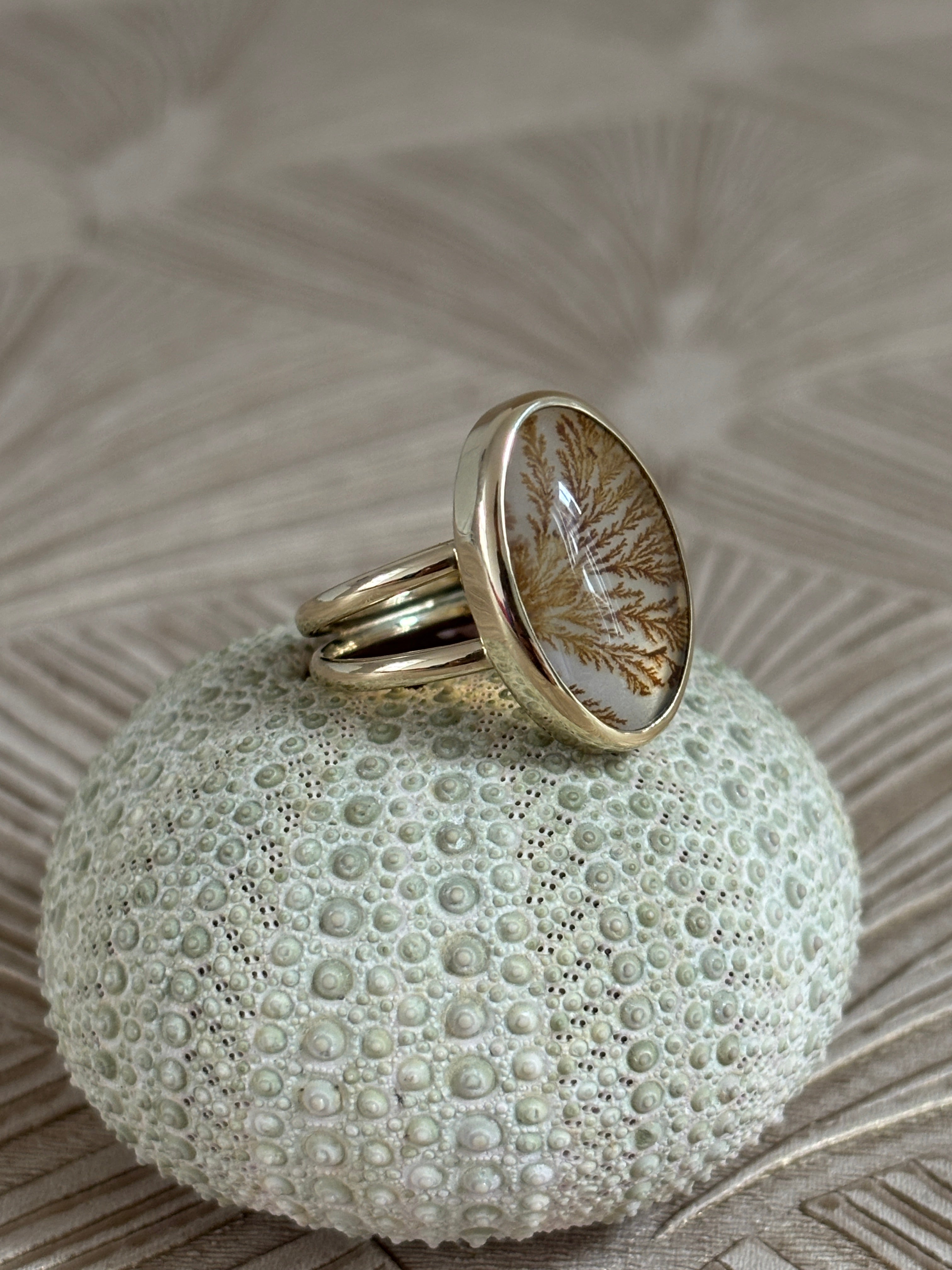 Dubbele Dendriet Ring