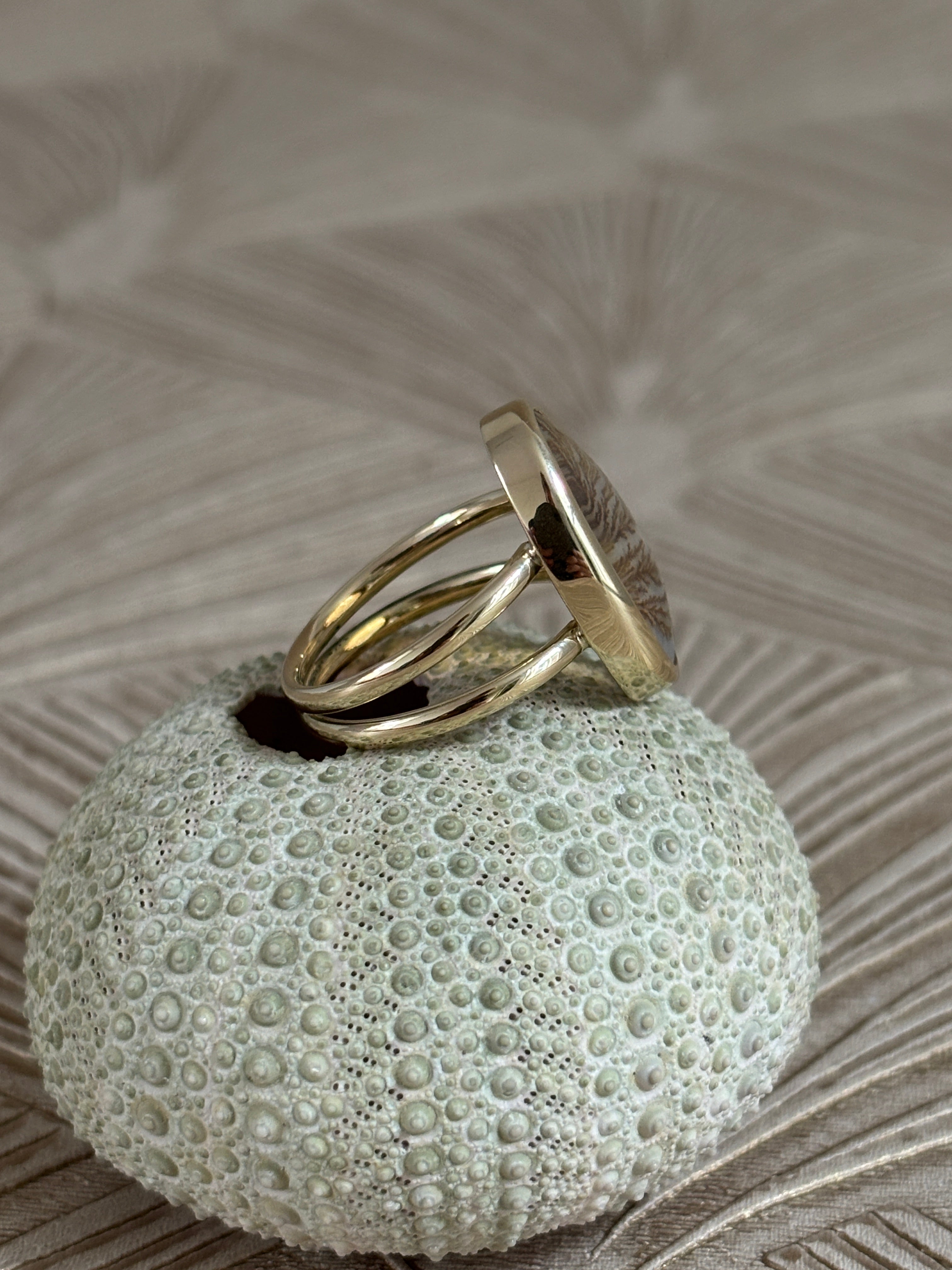 Dubbele Dendriet Ring