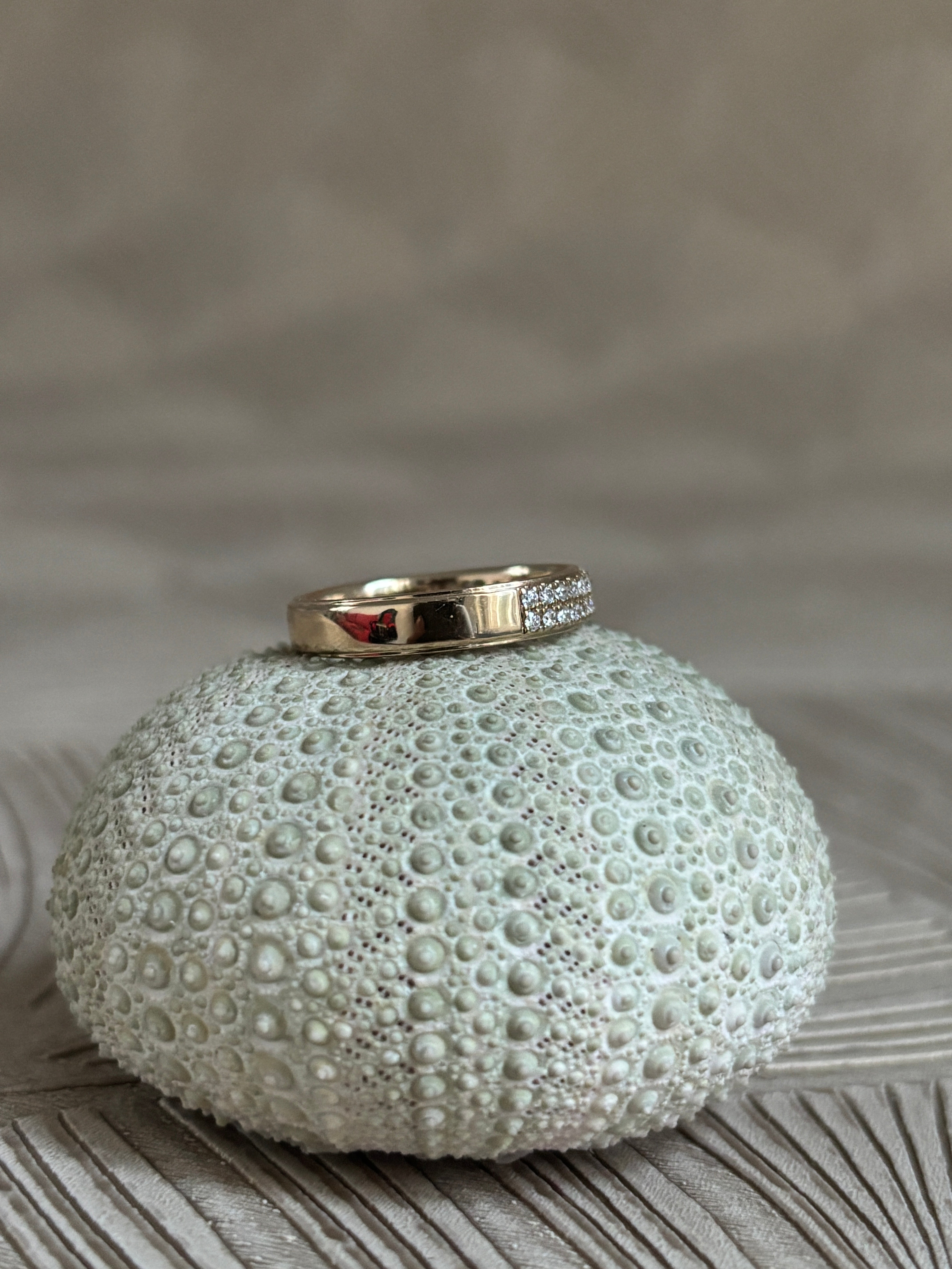 Moderne Pavé Ring