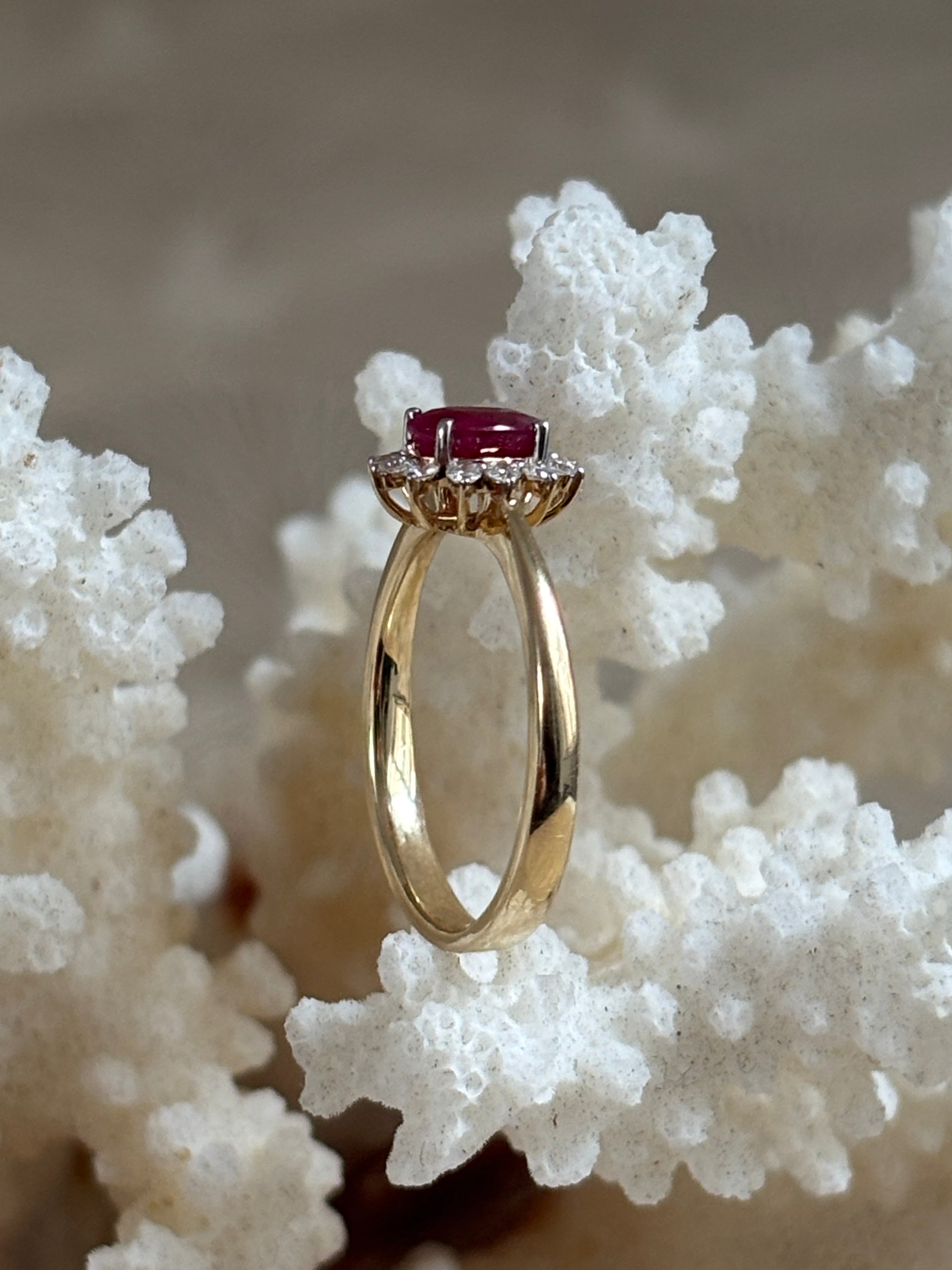 Entourage Ring Robijn