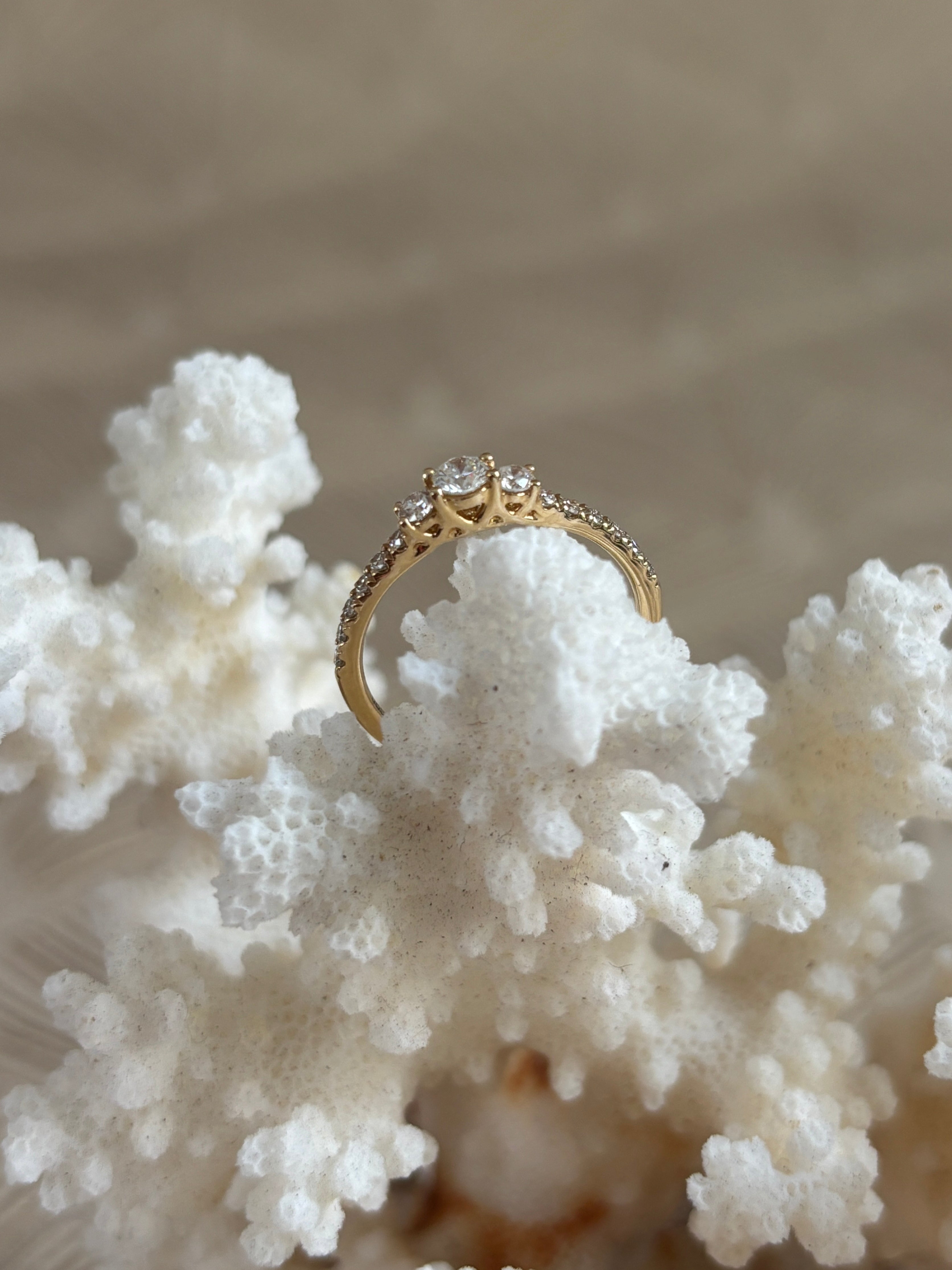 Prinses Diamant Ring