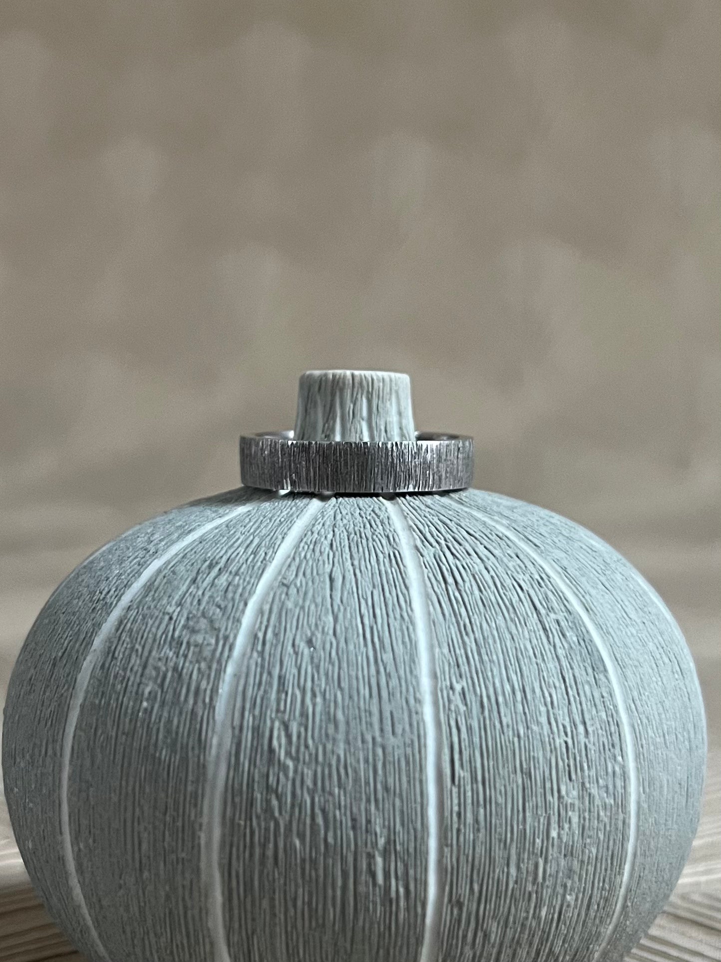 Witgouden Motief Ring