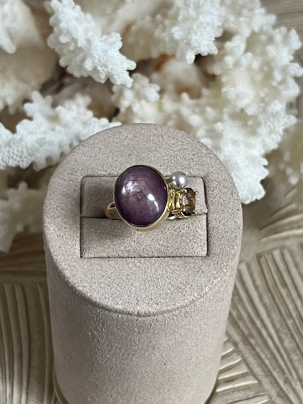 Ster Robijn Circus Ring