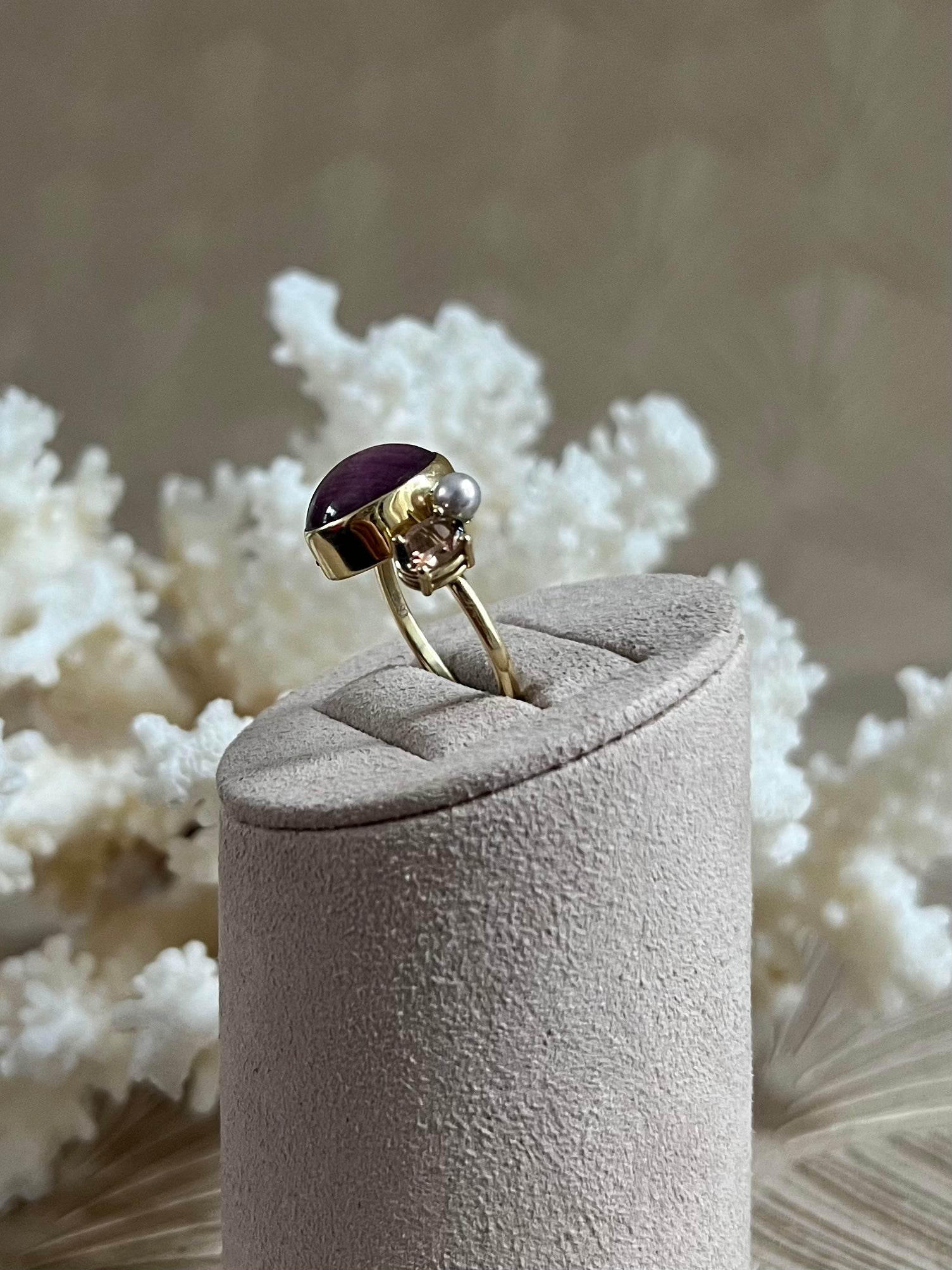 Ster Robijn Circus Ring