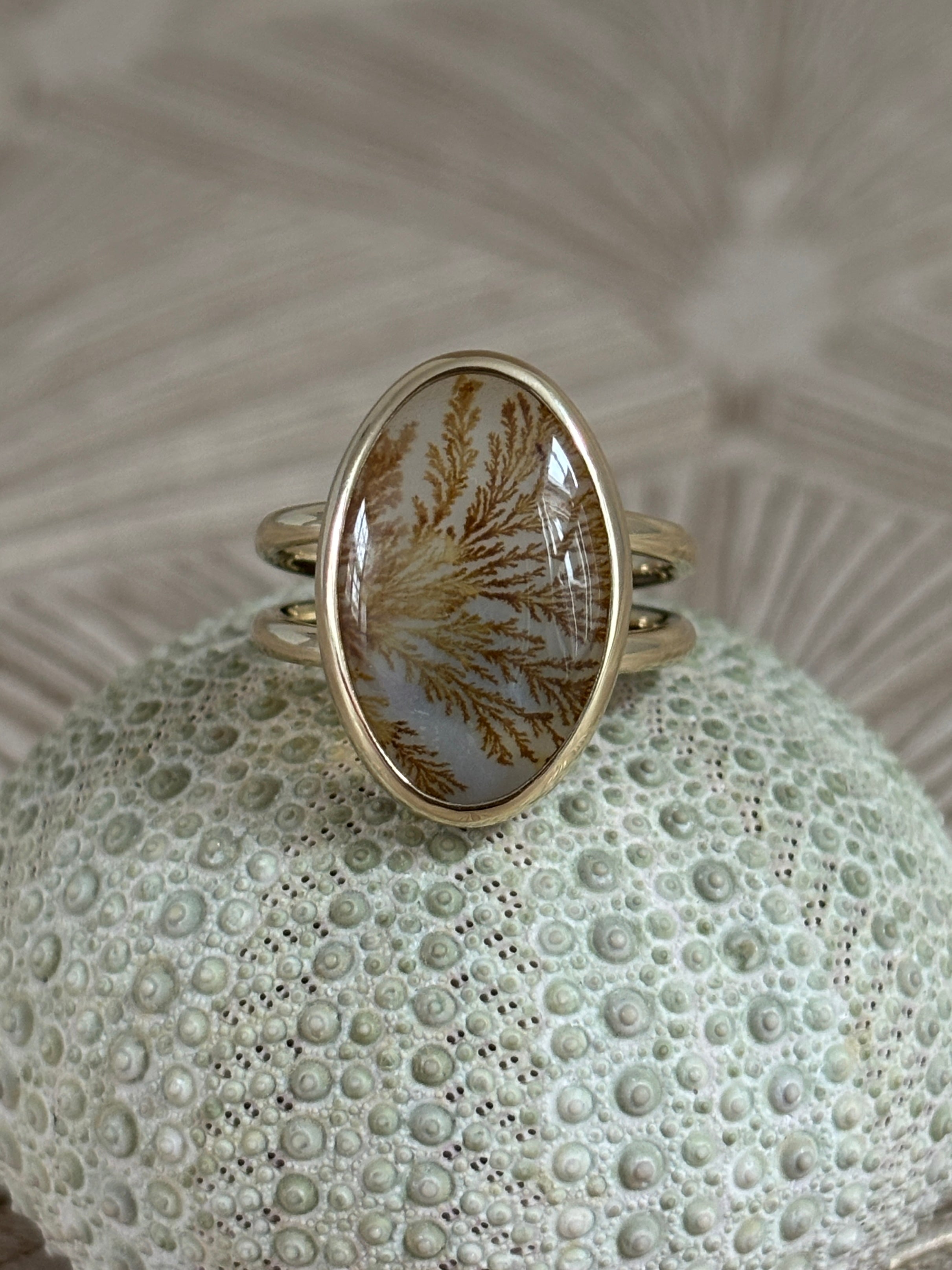 Dubbele Dendriet Ring