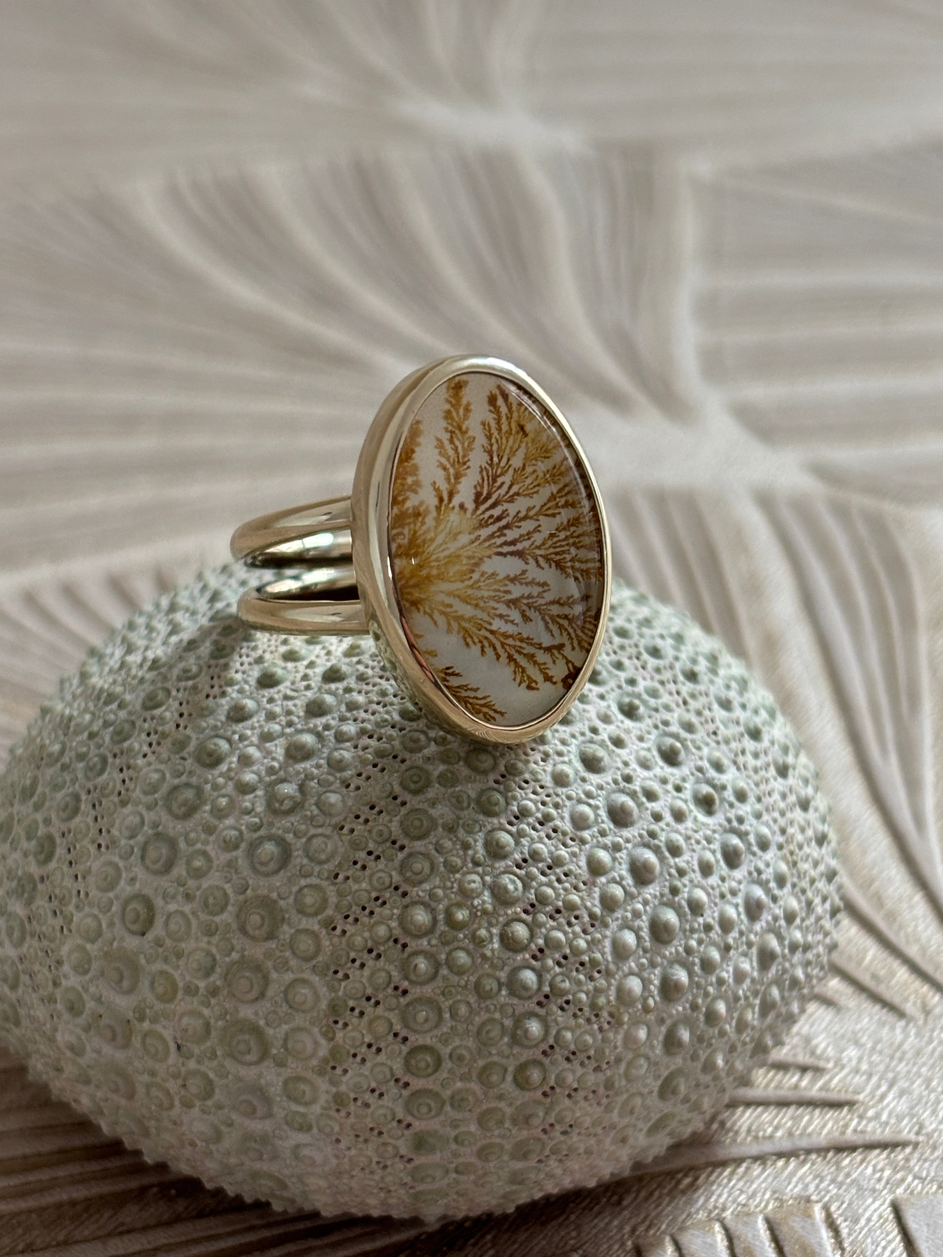 Dubbele Dendriet Ring